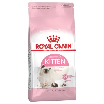 royal canin kitten trockenfutter