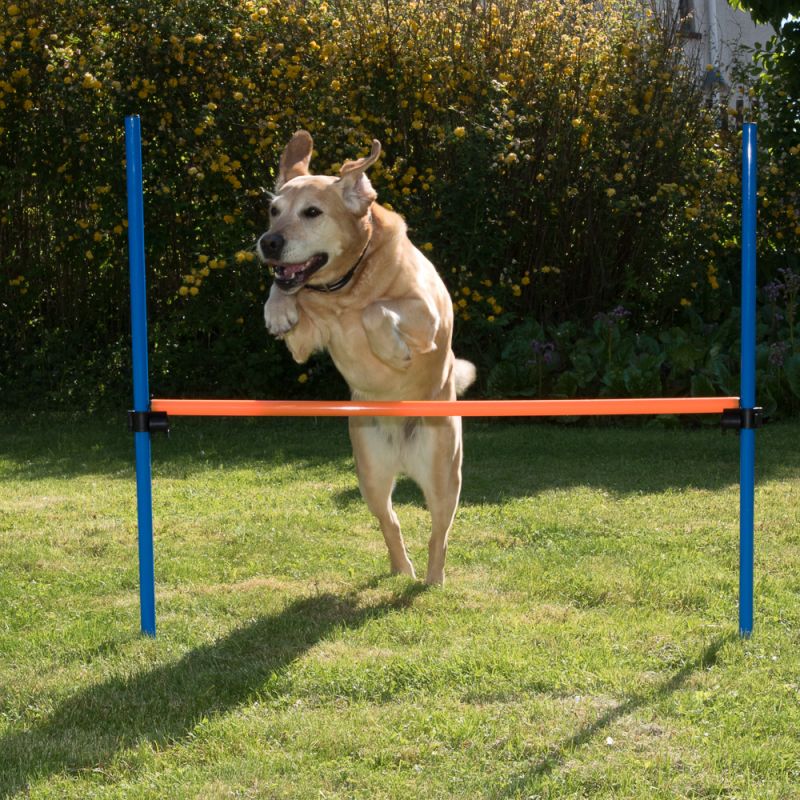 Agility Fun & Sport Hürde