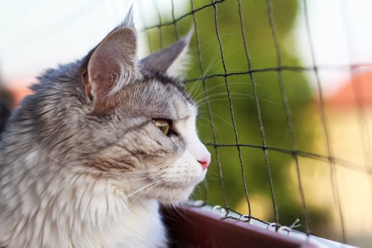 Netz für katzensicheren Balkon