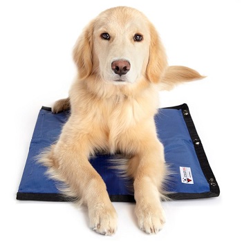 Kühlmatte Hund