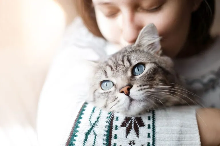 Katze mit gesunder Bindehaut kuschelt Bindehautentzuendung bei Katzen