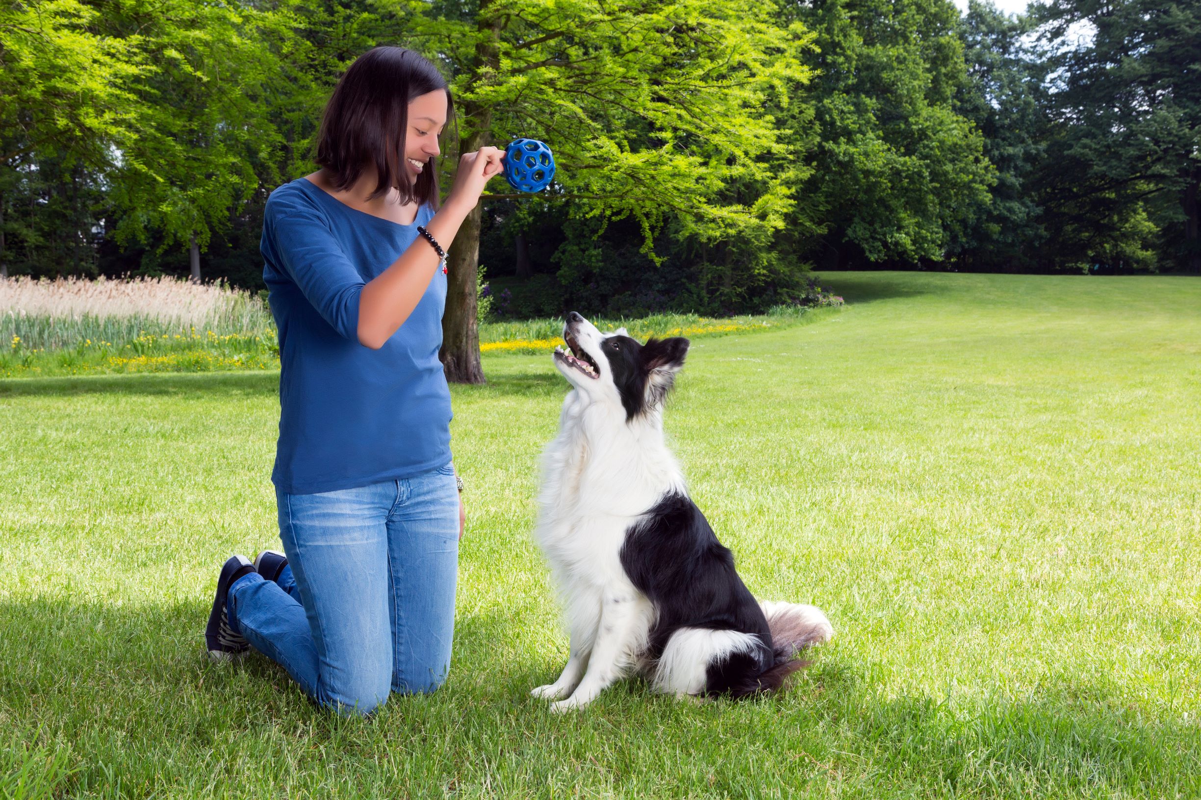 lære hund apportering