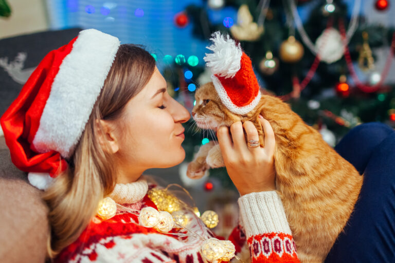 Weihnachtsgeschenke Ideen für Katzen