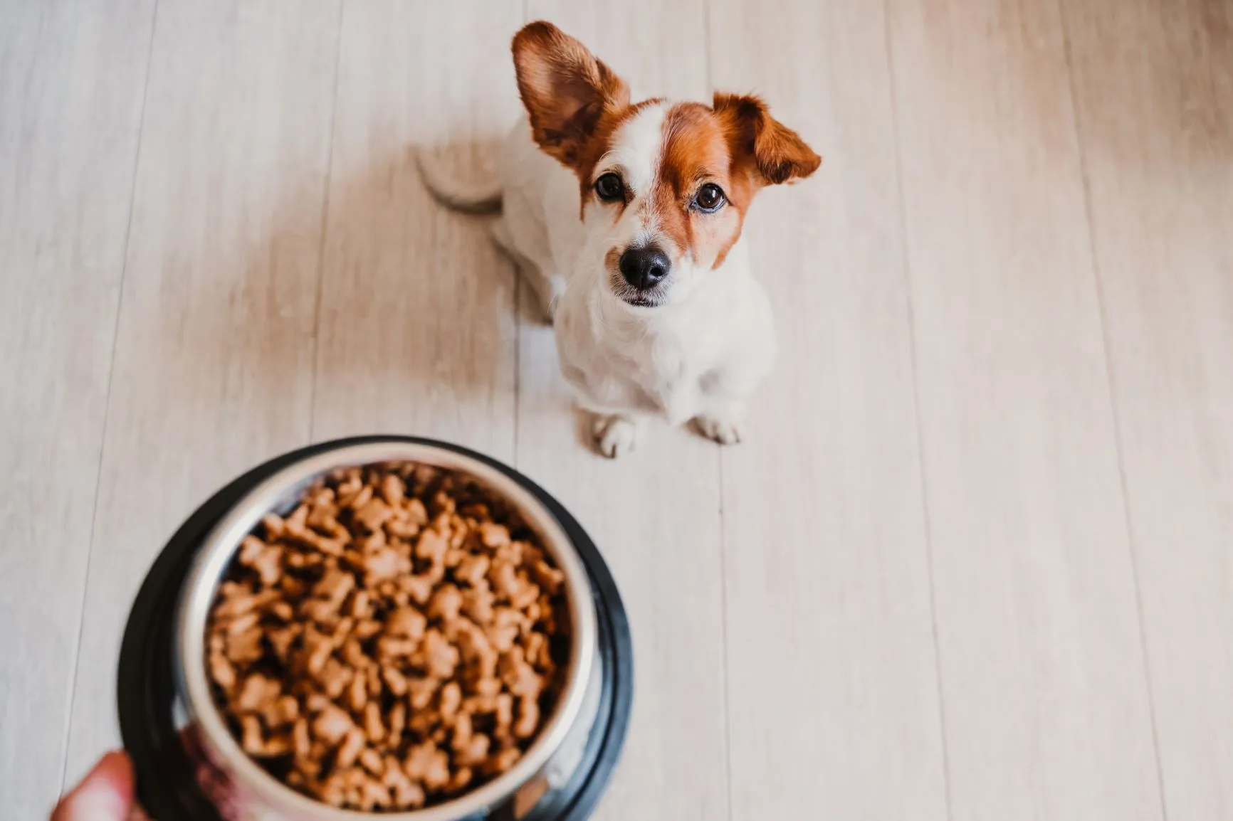 soft trockenfutter hund softdiner Trockenfutter | mera main image 0