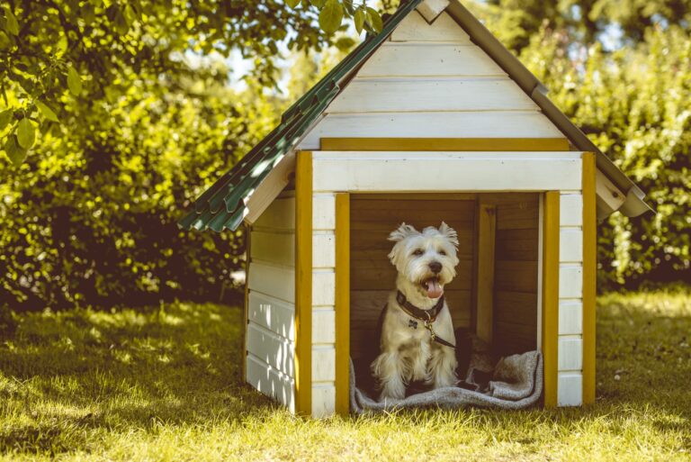 Selbstgebaute Hundehütte