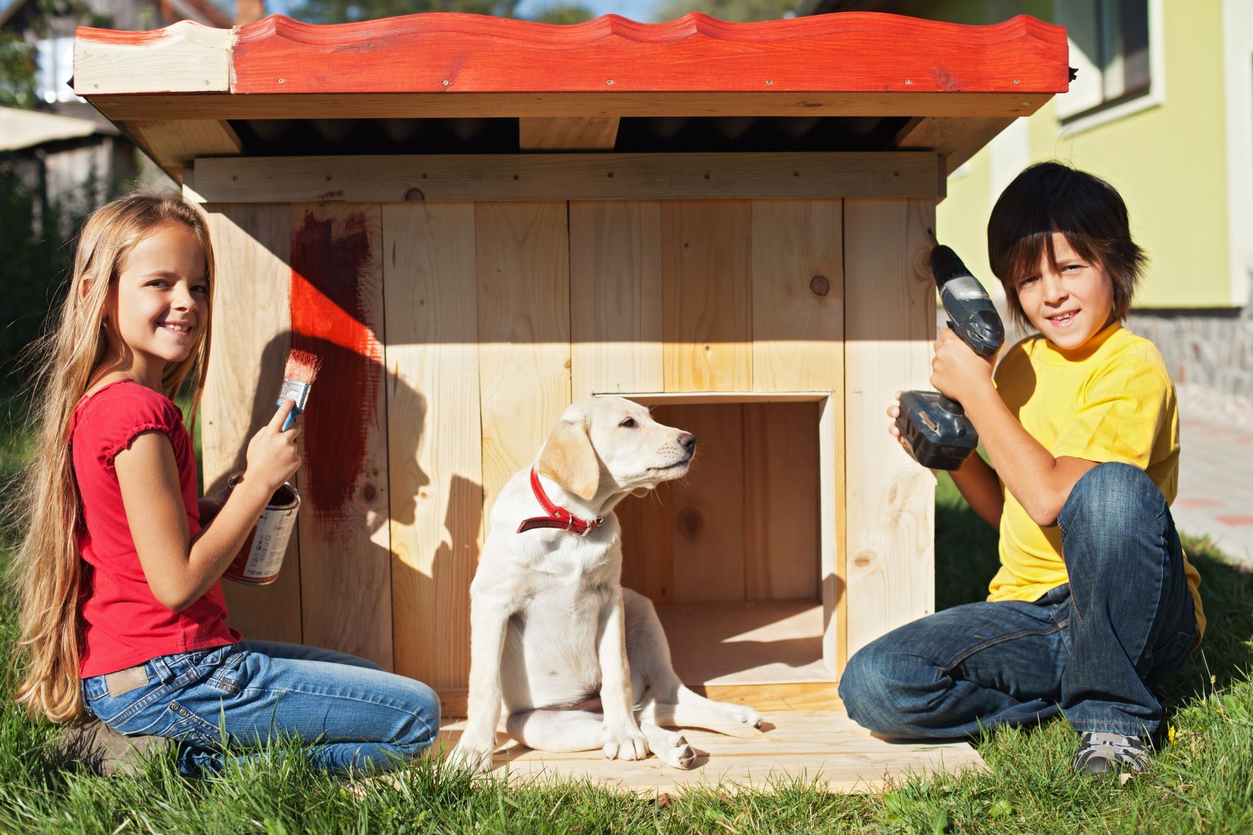 Kinder Hund Hundehütte selber bauen