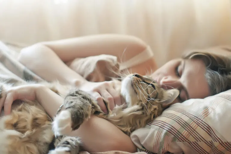 Katze im Bett