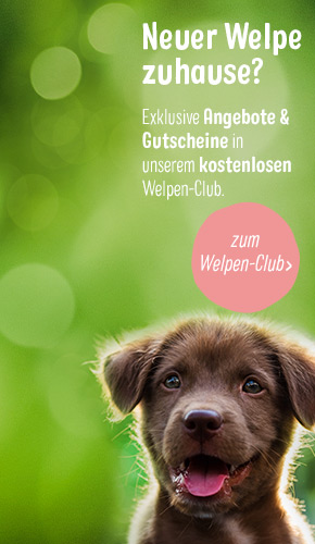 Puppy Club Banner Left