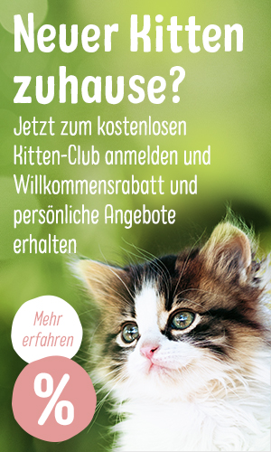 zooplus Kitten-Club - Dein kostenloser Wegbegleiter
